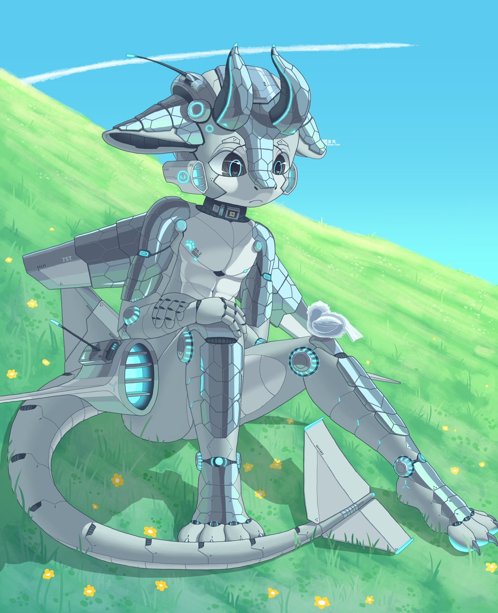 在训练的时候偷懒