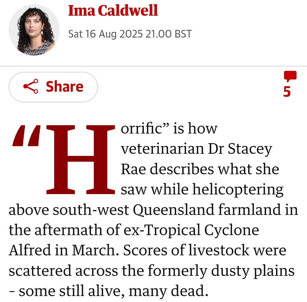 StreetTreck's tweet image. ♻️ As #Australia’s #naturaldisasters #worsen, ‘#vets #carryon, even while their own #clinics r #underwater’
#Ruralvets bear #brunt o #treatinganimals in #extremeweather events, adding #pressure 2 #worsening #workforcecrisis🛤️

#StreetTreck🛤️ 
theguardian.com/environment/20…