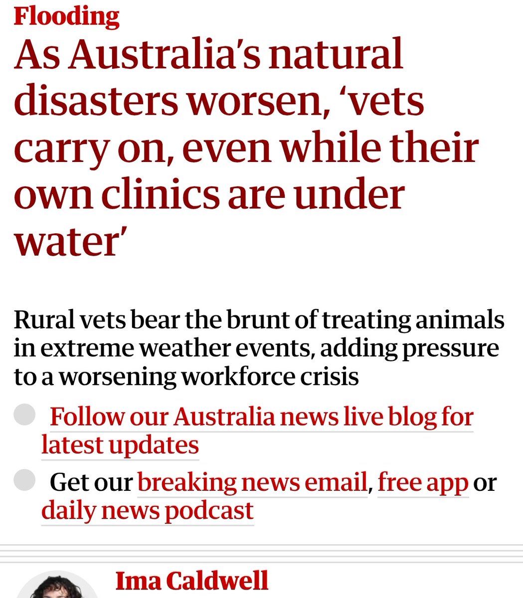 StreetTreck's tweet image. ♻️ As #Australia’s #naturaldisasters #worsen, ‘#vets #carryon, even while their own #clinics r #underwater’
#Ruralvets bear #brunt o #treatinganimals in #extremeweather events, adding #pressure 2 #worsening #workforcecrisis🛤️

#StreetTreck🛤️ 
theguardian.com/environment/20…