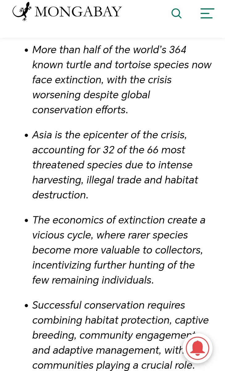 StreetTreck's tweet image. ♻️ #Morethan #half o #world’s 364 known #turtle n #tortoise #species face #extinction, with #crisis worsening despite #global #conservation #efforts.
#Asia the #epicenter o #crisis🛤️

#harvesting  #illegaltrade #habitatdestruction #StreetTreck 🛤️ 
news.mongabay.com/2025/08/new-re…