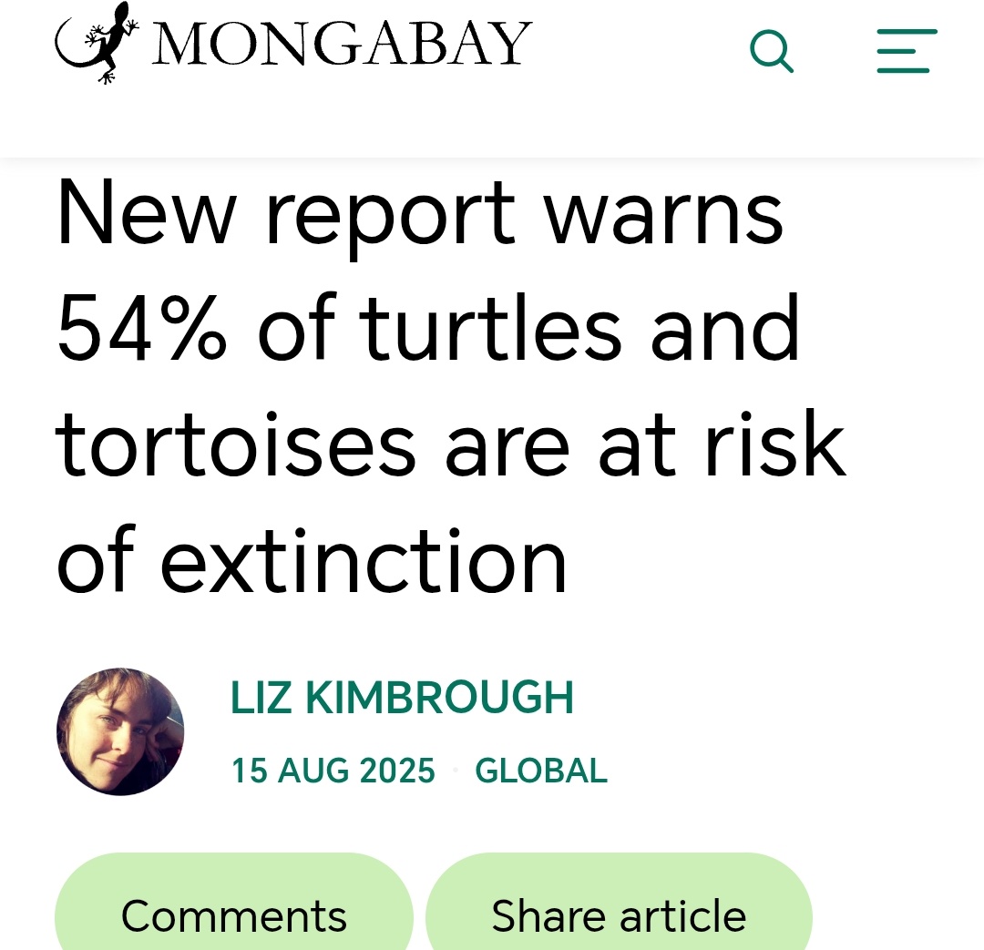 StreetTreck's tweet image. ♻️ #Morethan #half o #world’s 364 known #turtle n #tortoise #species face #extinction, with #crisis worsening despite #global #conservation #efforts.
#Asia the #epicenter o #crisis🛤️

#harvesting  #illegaltrade #habitatdestruction #StreetTreck 🛤️ 
news.mongabay.com/2025/08/new-re…