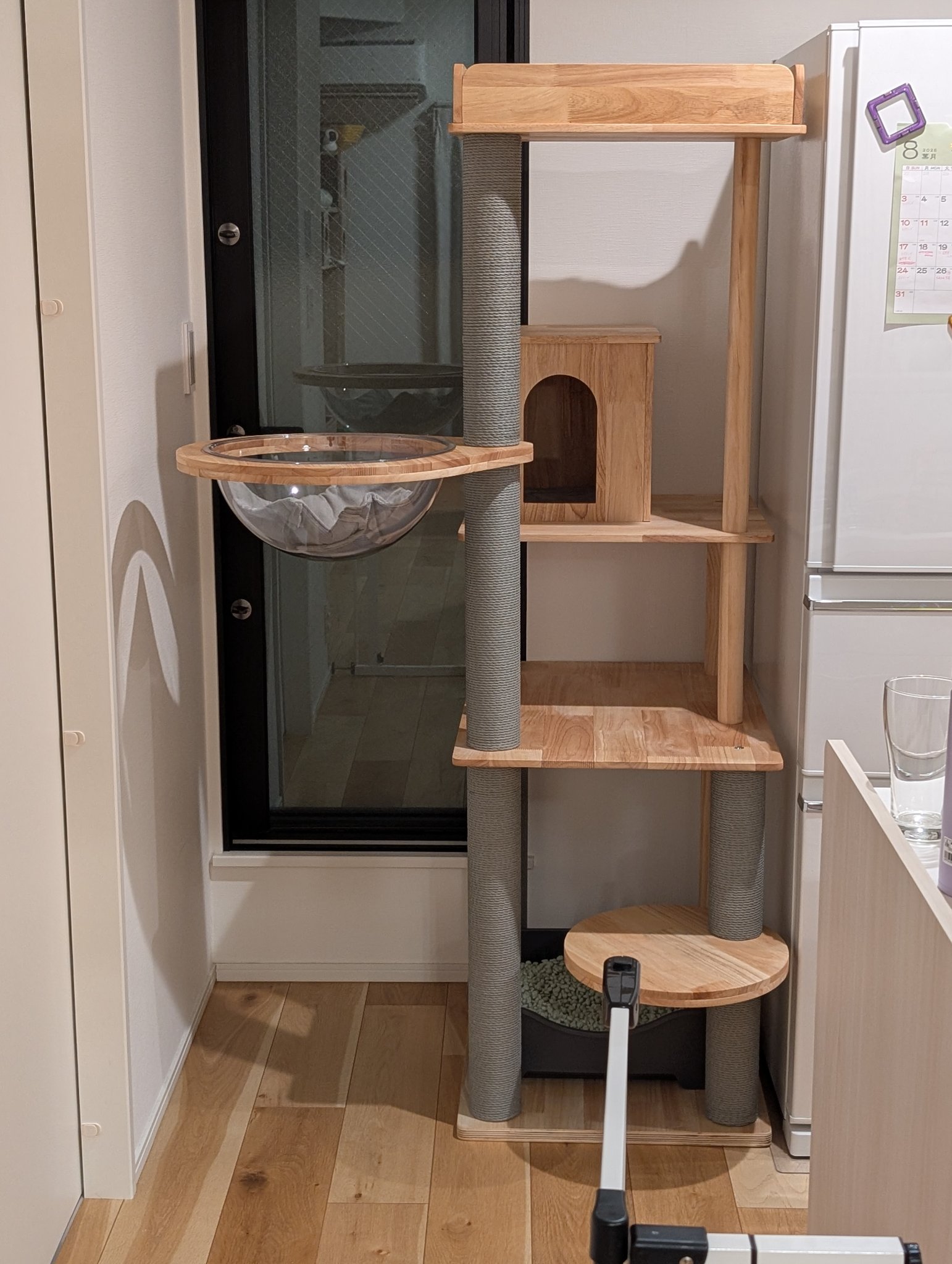 カヤ　　　☪︎⋆ ✯ ☽様お取り置き　8/20まで　猫　レジン　白いハイビスカス 猫空作品 - Search / X