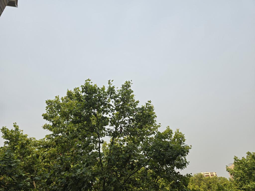 gramareus's tweet photo. Cel amb "calima".
Fa moltíssima calor!!🥵
37°C, sensació de 39°C
#reus #calima #calorada 
@1967fct @Alex_MeteoM @SeguimlaMeteo @efojea1 @JRovireta @StormHour @ecazatormentas https://t.co/DJaXDmuySH