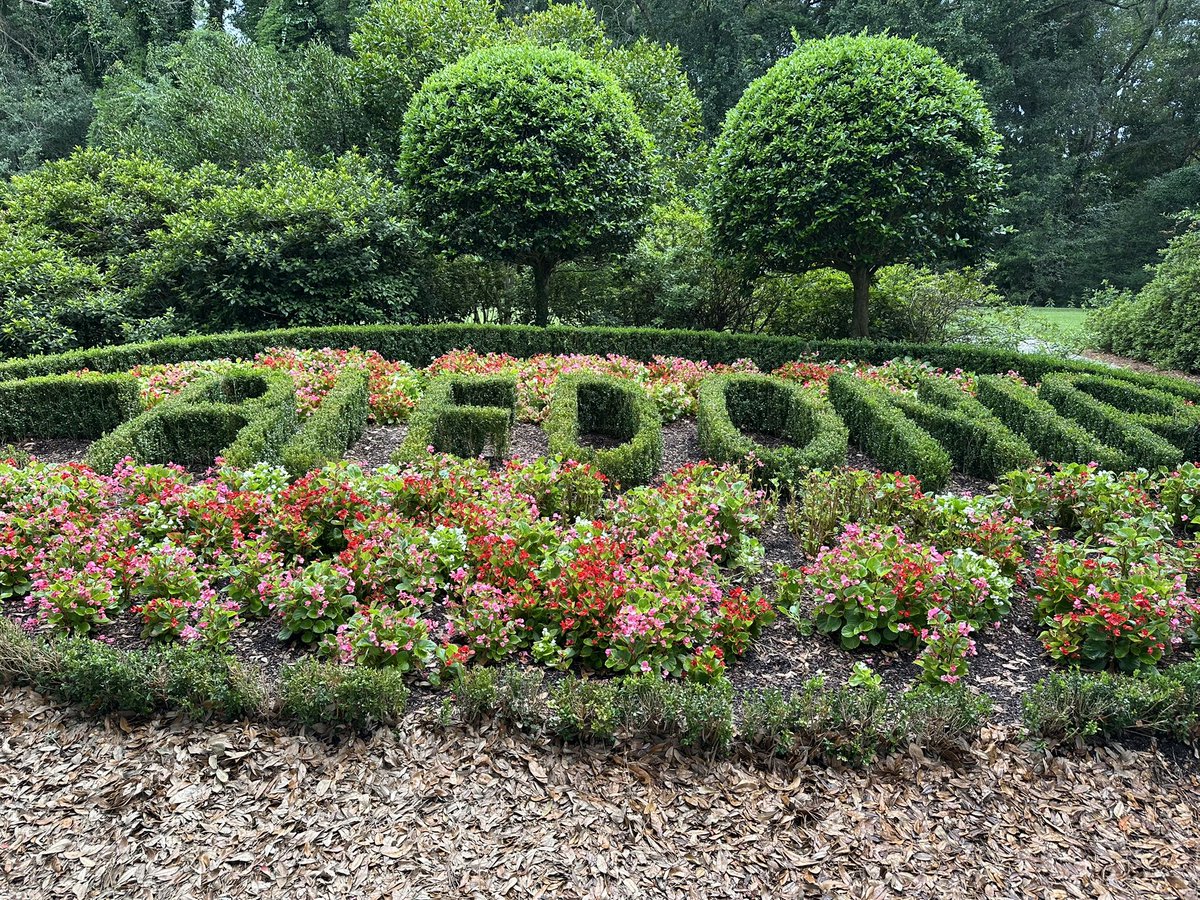 Phillip 🇺🇸⛳️ tweet media