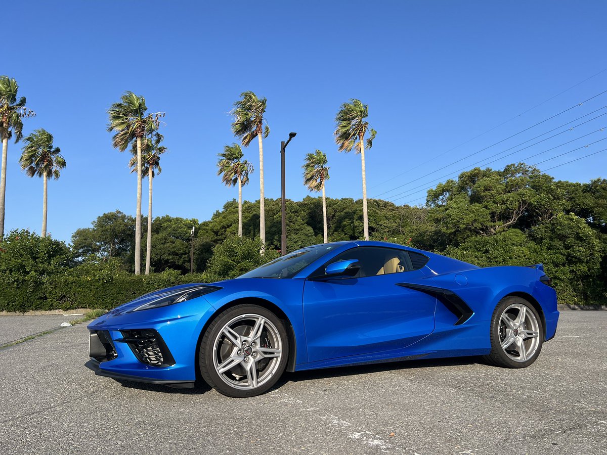 RapidsGrayEyes's tweet photo. 千葉フォルニア海浜公園からの幕張PA
#corvette #C8 #千葉フォルニア https://t.co/NqNvASkbIu
