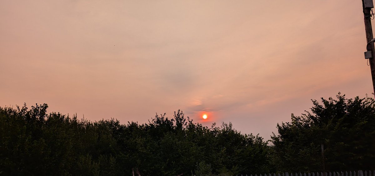 Nadine Kimmage tweet media