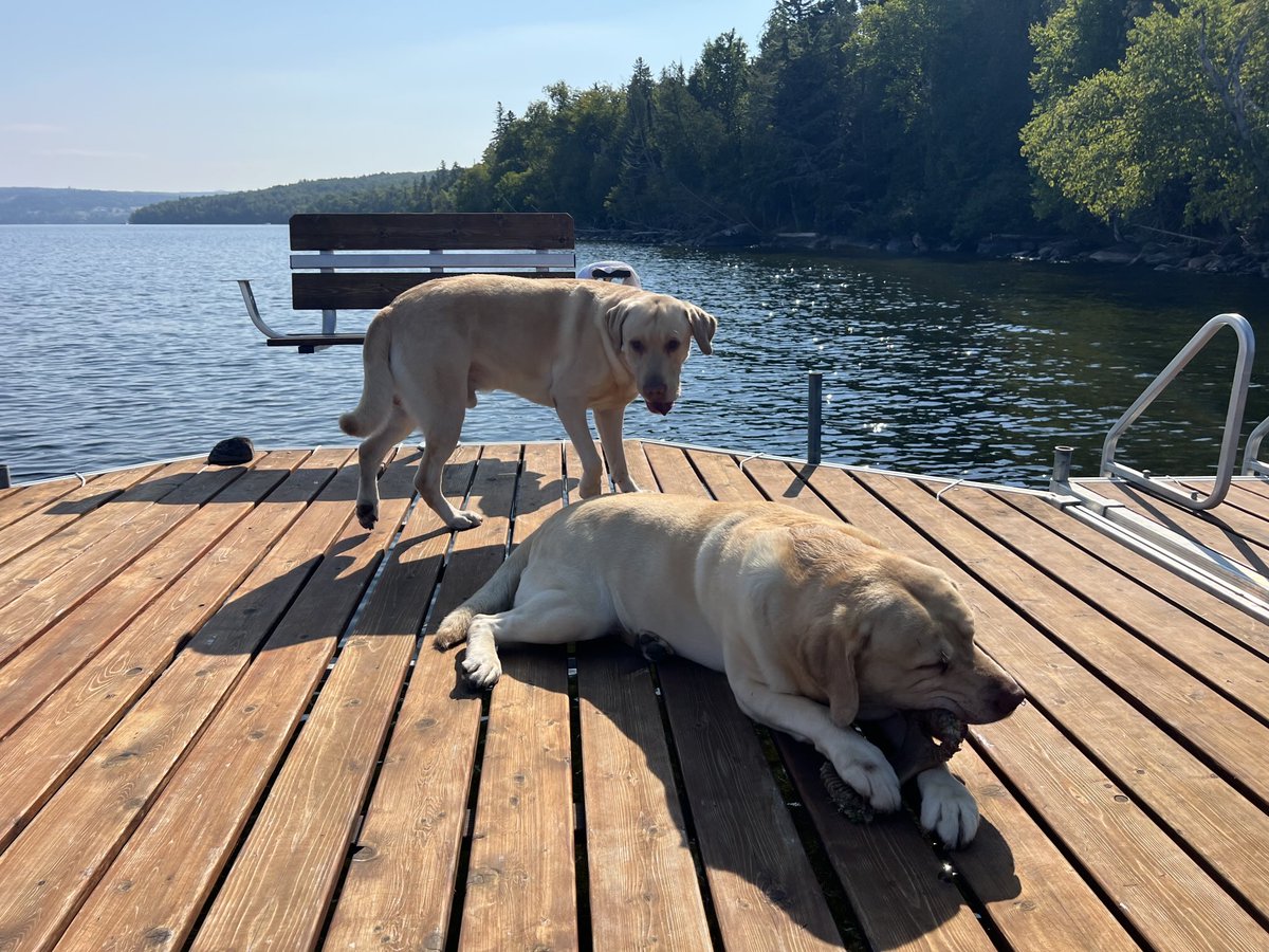 Mike Melio tweet media