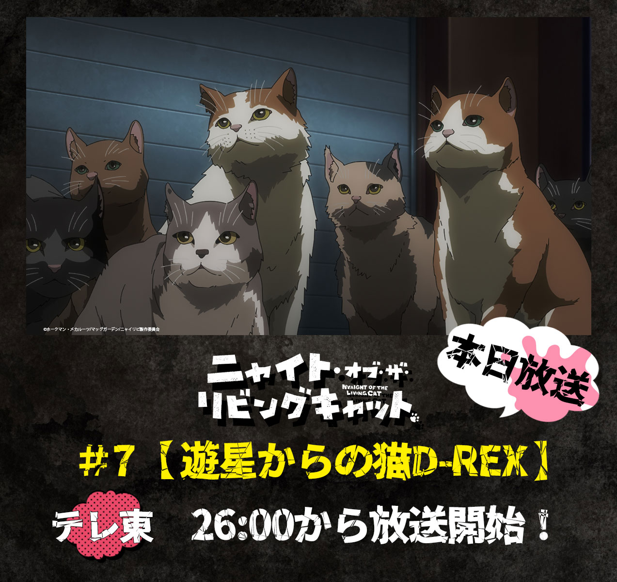 猫壱（necoichi）公式 (@necoichicojp) / X