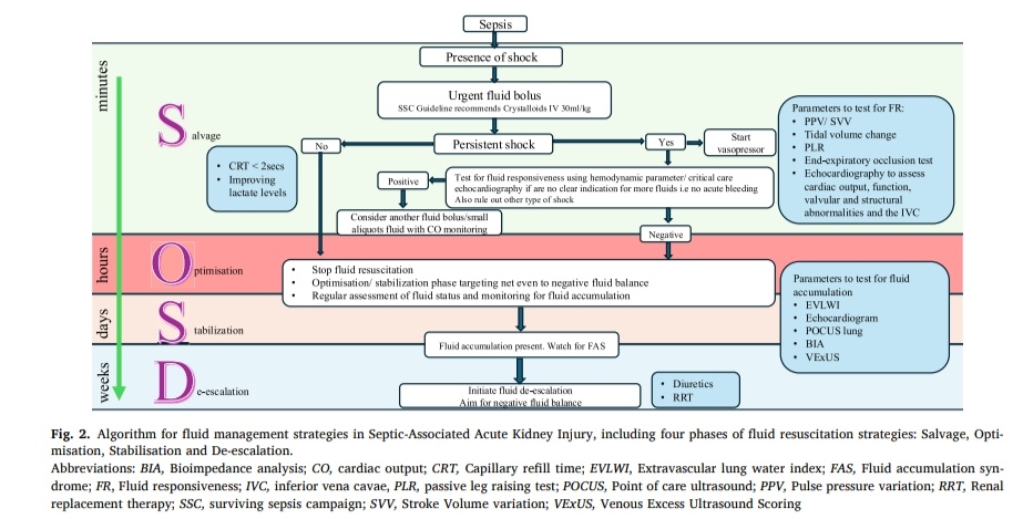 Manejo de Fluidos en Lesión Renal Aguda Asociada a Sepsis 💧🫘

🔰📚J Crit Care 2025

doi.org/10.1016/j.jcrc…

Enlace a Artículo Completo 👇🏼✅🆓t.me/SoMELaguna