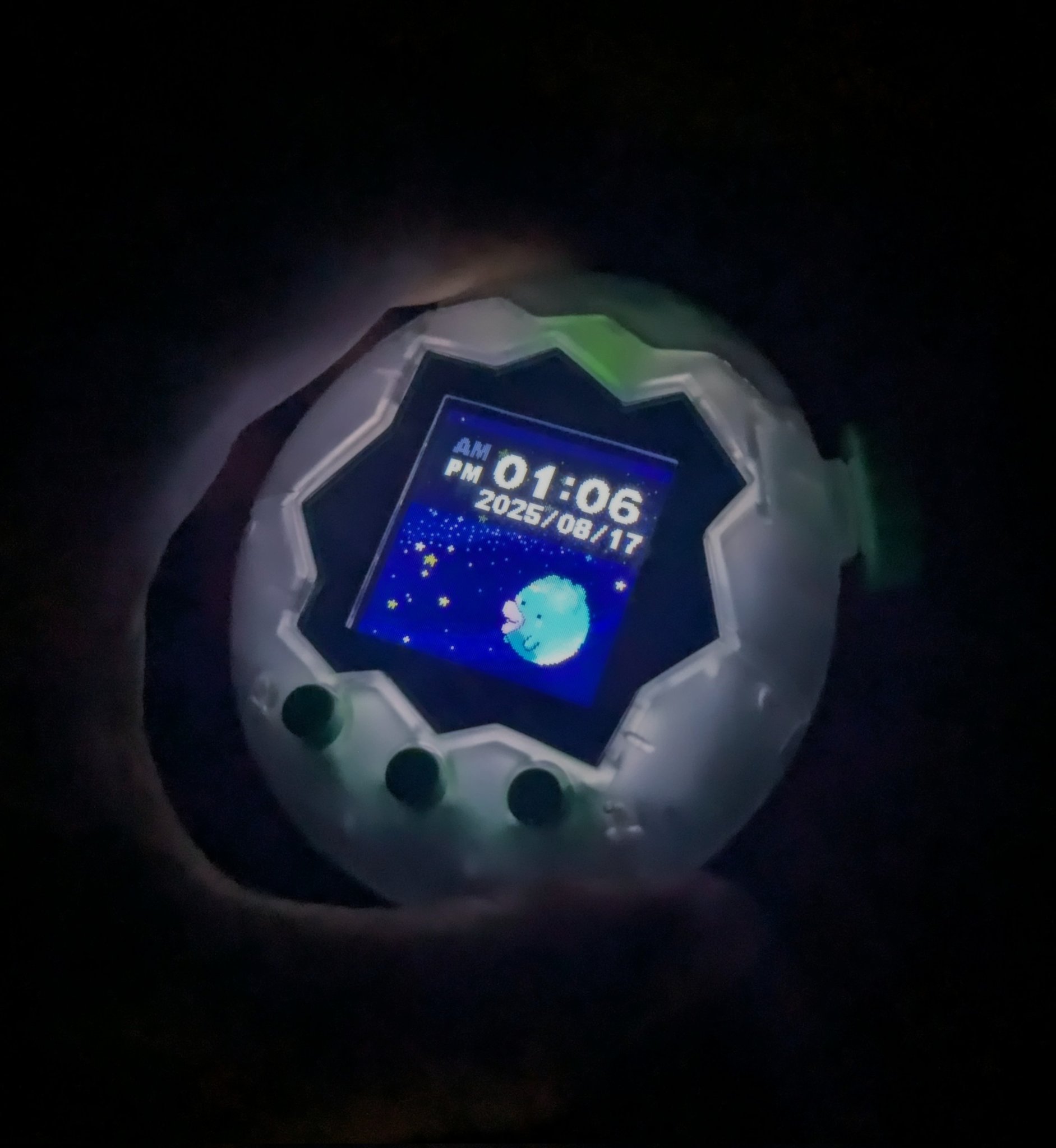 たまごっちパラダイス Tamagotchi Paradise（たまごっちパラダイス） | たまごっち公式