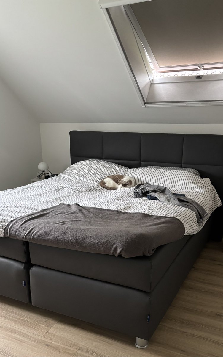 SabV8's tweet photo. Ook zijn zondag #catspam https://t.co/Xq7annOOUP