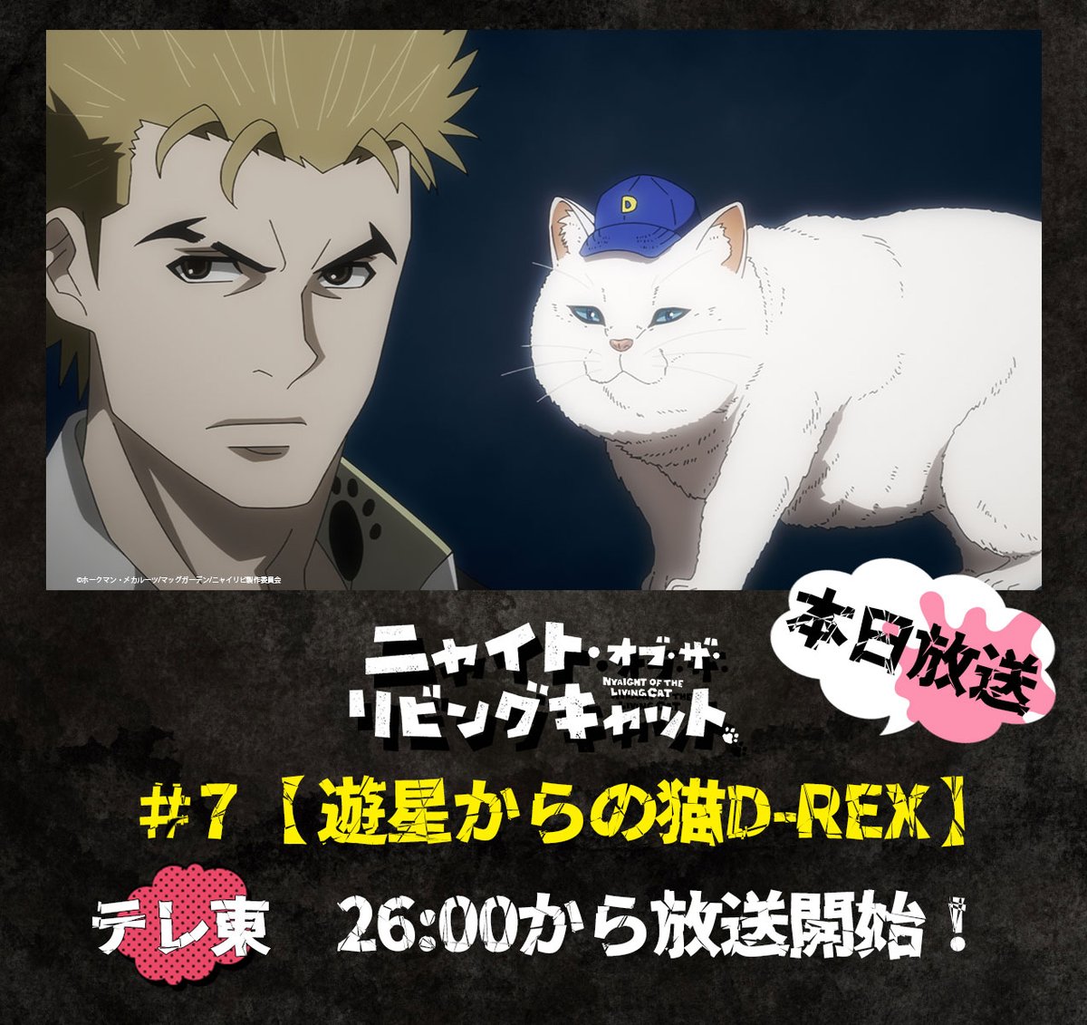 🐈‍⬛🐾-----

　　第7話放送スタート！

　　　　　　　　  　-----🐾🐈‍⬛

第7話がテレ東にて放送がスタート！
放送中の感想などは『#ニャイリビ 』で🔍

#7【遊星からの猫D-REX】
✅あらすじ
nyailivi.com/story/

ぜひご覧ください🐈

#ニャンデミック