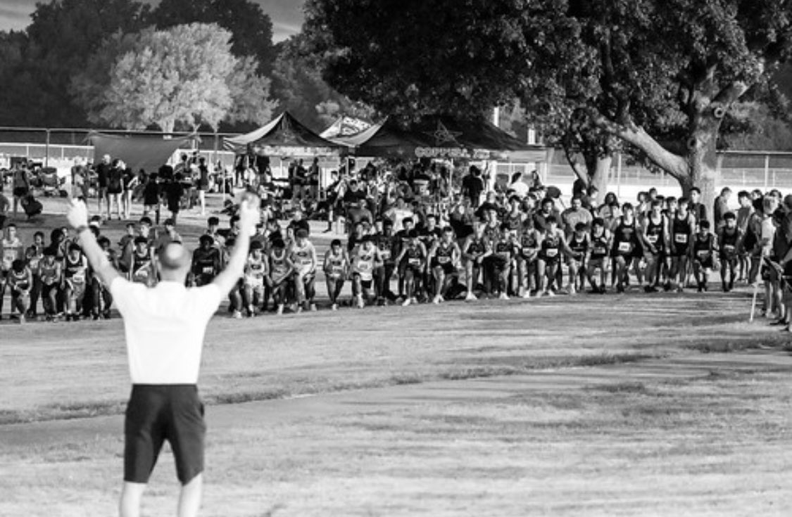 Hawk Running tweet media