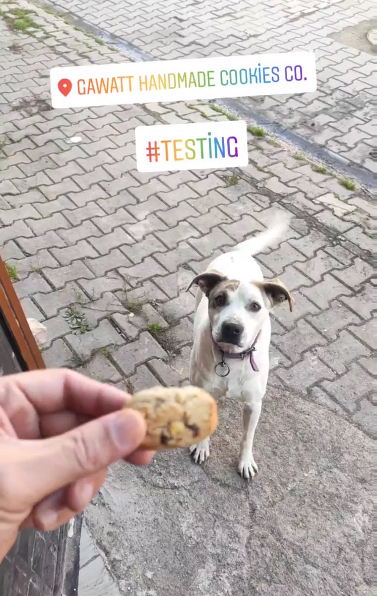 Ben hayvan düşmanı değilim. Hayatım boyunca evcil hayvanım da oldu.

Ama bazılarına şirin görünmek için müşterilerimin sağlığını riske atacak, kanuna karşı gelecek biri de değilim.

Bu işten maddi çıkarı olup da bana hayvan düşmanı diyen bu yem lobicilerinin karakterini s*kim..
