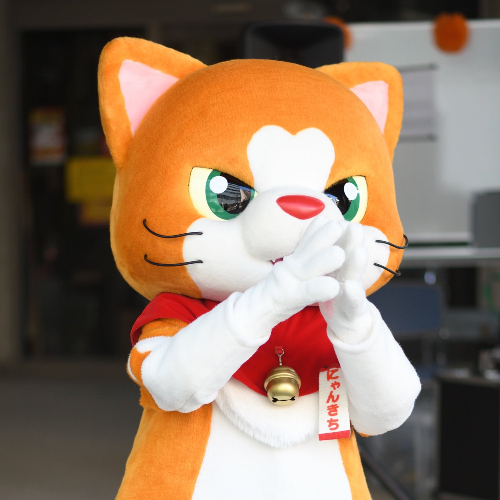 しろにゃん ゼンレスゾーンゼロ 対ホロウ6課 にゃんにゃんぬいぐるみ（※11