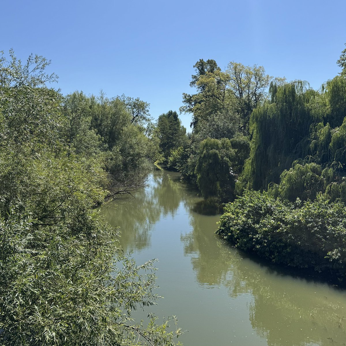 Mike Crook tweet media