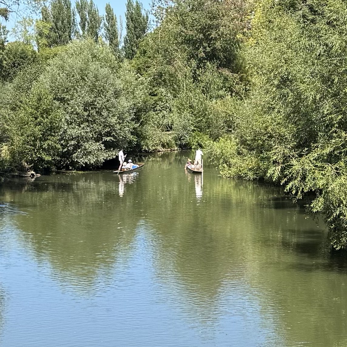 Mike Crook tweet media