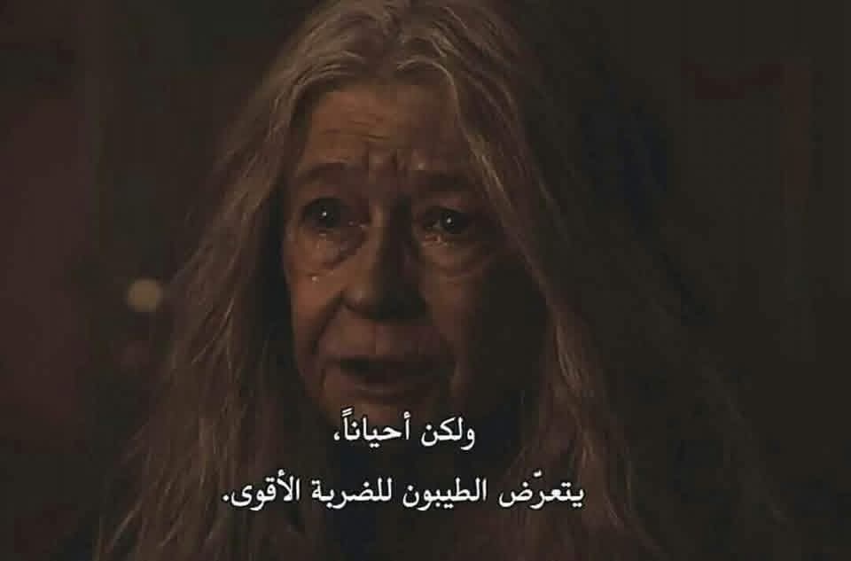 "إنها ضريبة المبالغة بشتى أنواعها ، طيبة احترام مشاعر ثم ضربه قاضية."