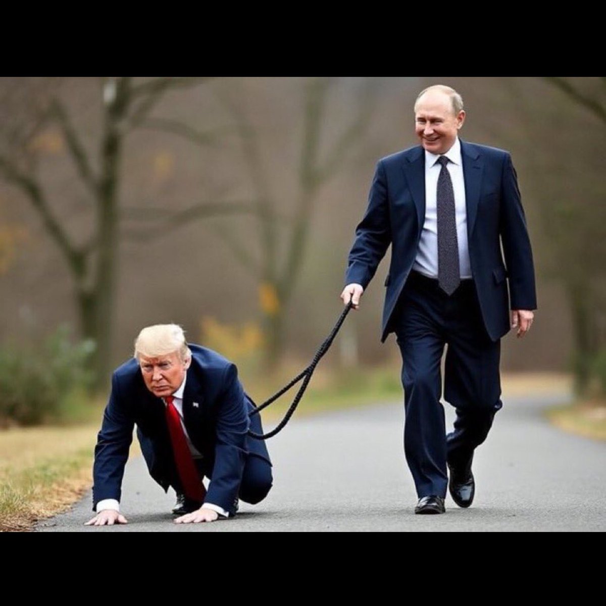 SigYok 💙 tweet media