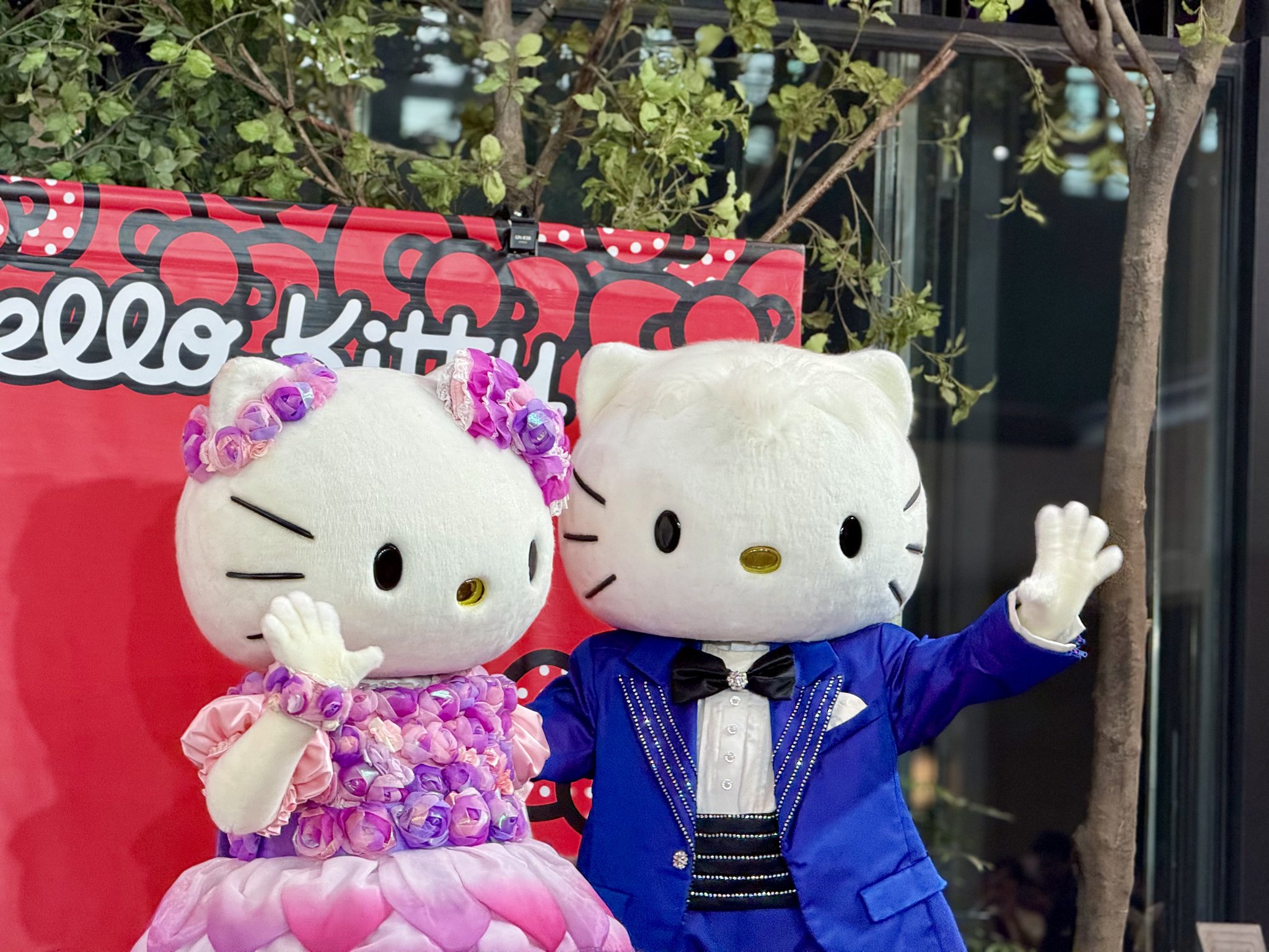 ハローキティ　2点 楽天市場】予約 10月下旬 再入荷 ハローキティ コインケース