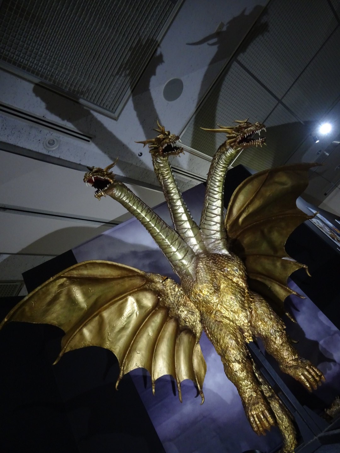 若狭 新一 (@shinichiwakasa) / X