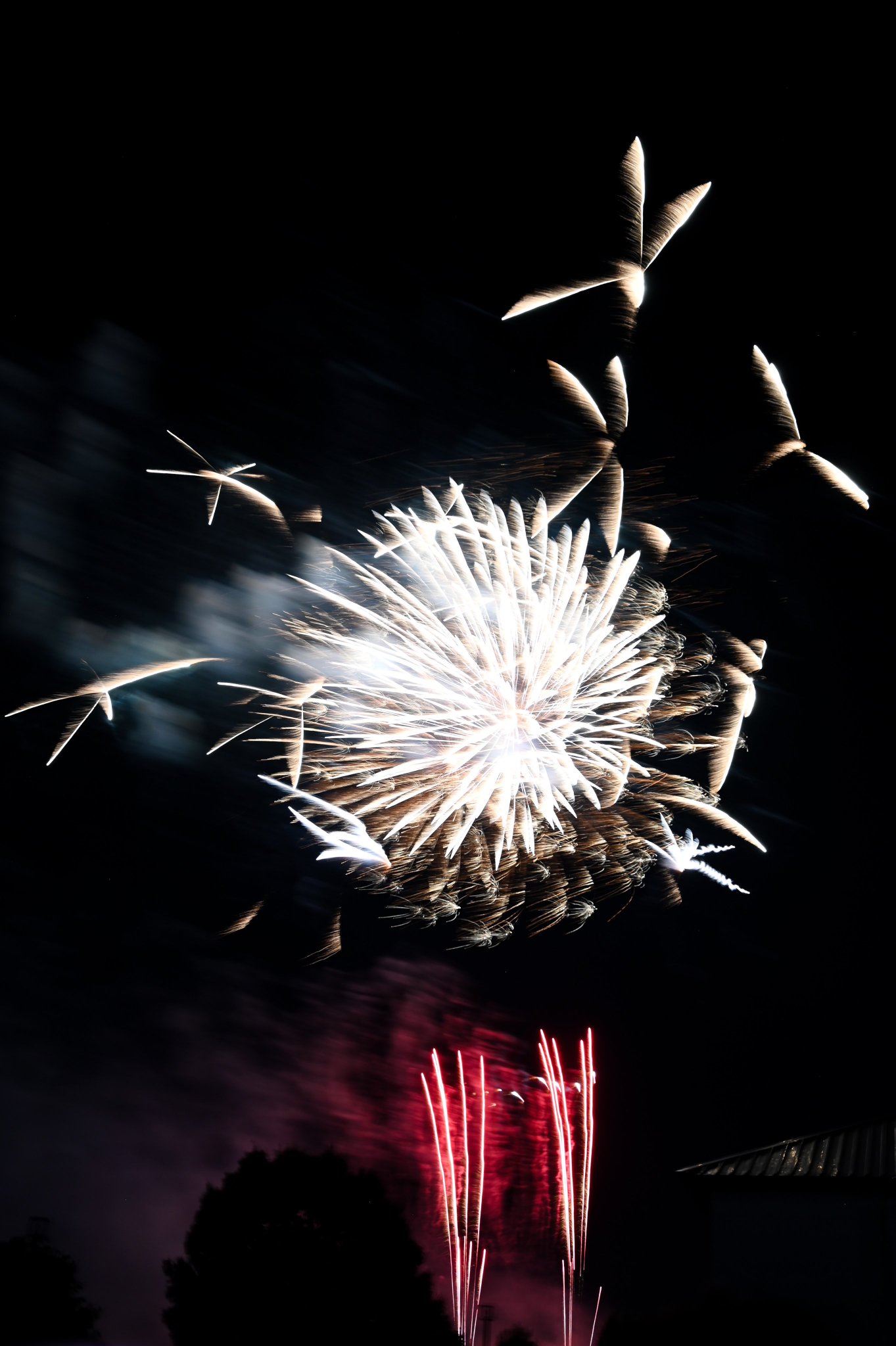花火＊無言可 Nikon Z 8 