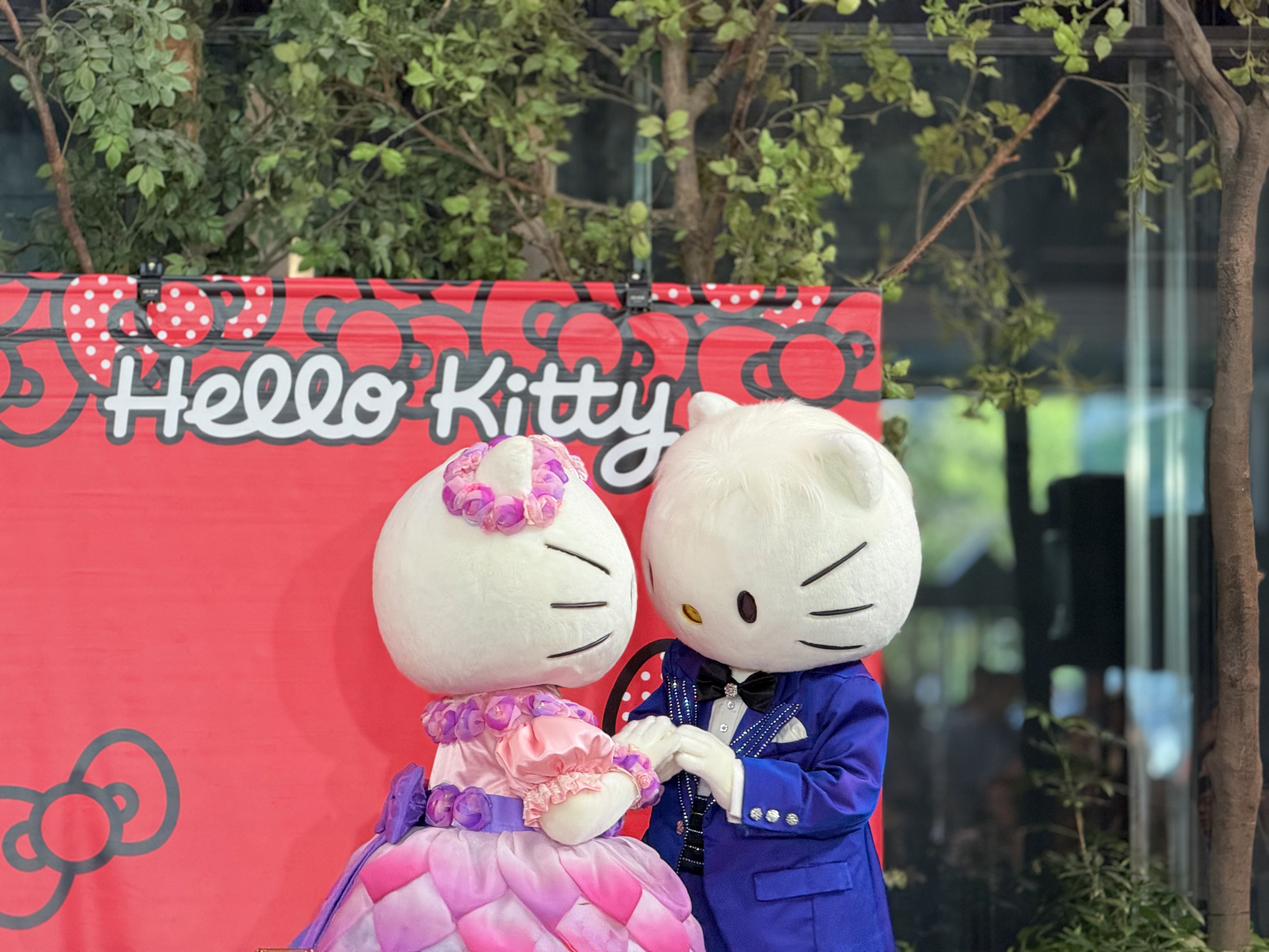 ハローキティ HELLO KITTY ビーズノレン☆新品未使用 2025年最新】HELLO KITTY のれんの人気アイテム - メルカリ