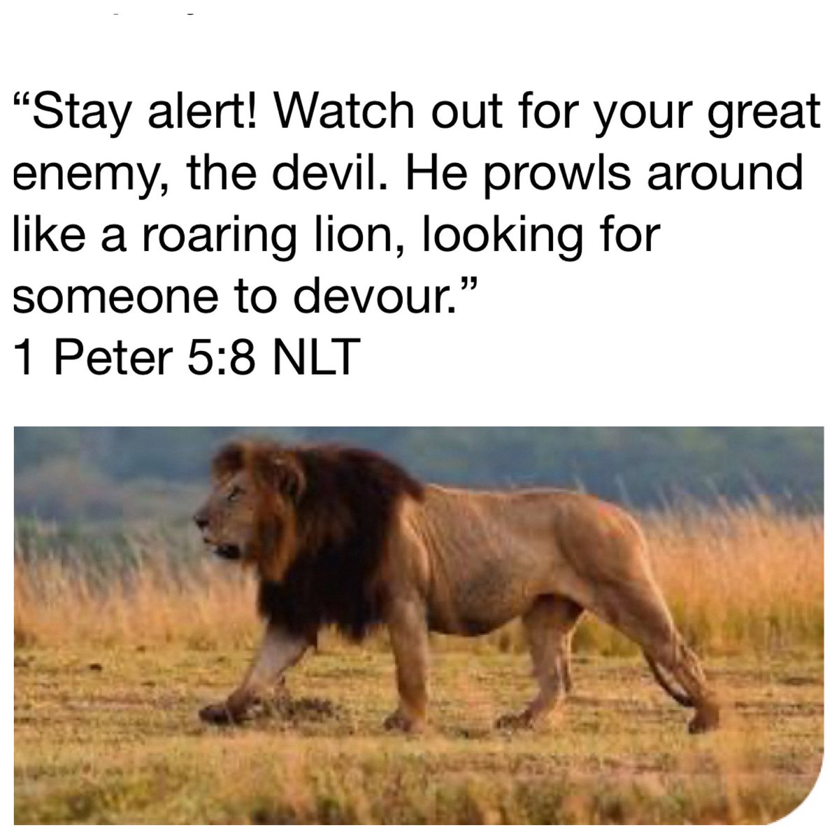 Tony Dungy (@tonydungy) on Twitter photo Great message from Pastor Hal <a href="/GFCFlorida/">Grace Family Church</a> today on the spiritual battle we are in. Satan is trying to take us down and he uses lies and deceit to get us. If he can’t destroy us he wants to distract us. Am I falling into his trap by focusing on things other than God?
We have a Great message from Pastor Hal <a href="/GFCFlorida/">Grace Family Church</a> today on the spiritual battle we are in. Satan is trying to take us down and he uses lies and deceit to get us. If he can’t destroy us he wants to distract us. Am I falling into his trap by focusing on things other than God?
We have a