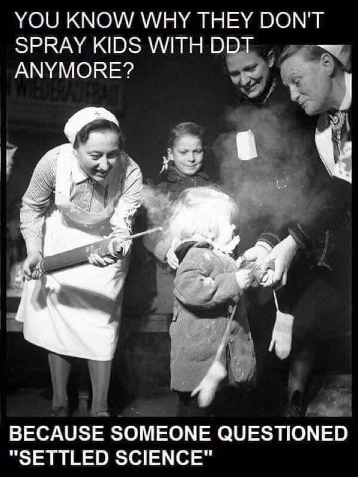 Gyjx33iXcAAeOyy?format=jpg&name=medium