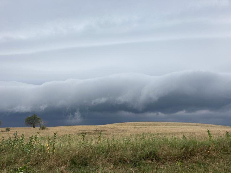 Another awesome picture from Fisher, Pennsylvania of the shelf cloud along the leading edge of the thunderstorms this morning. Shelf clouds develop on the boundary of thunderstorms as cold air from the storm rushes outward, interacting with the warm/humid air ahead of the storm,