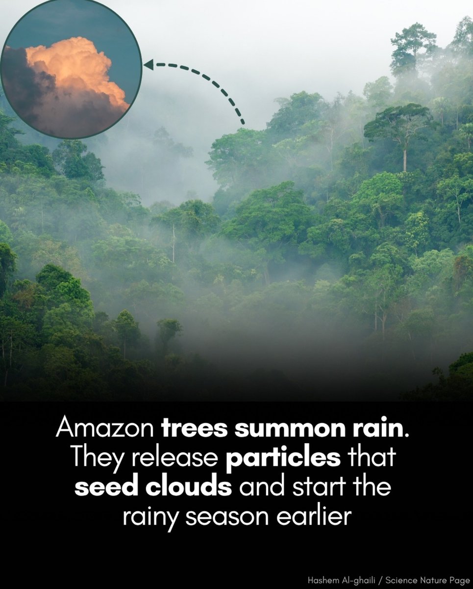 Louis De Jaeger - Commensalist tweet media