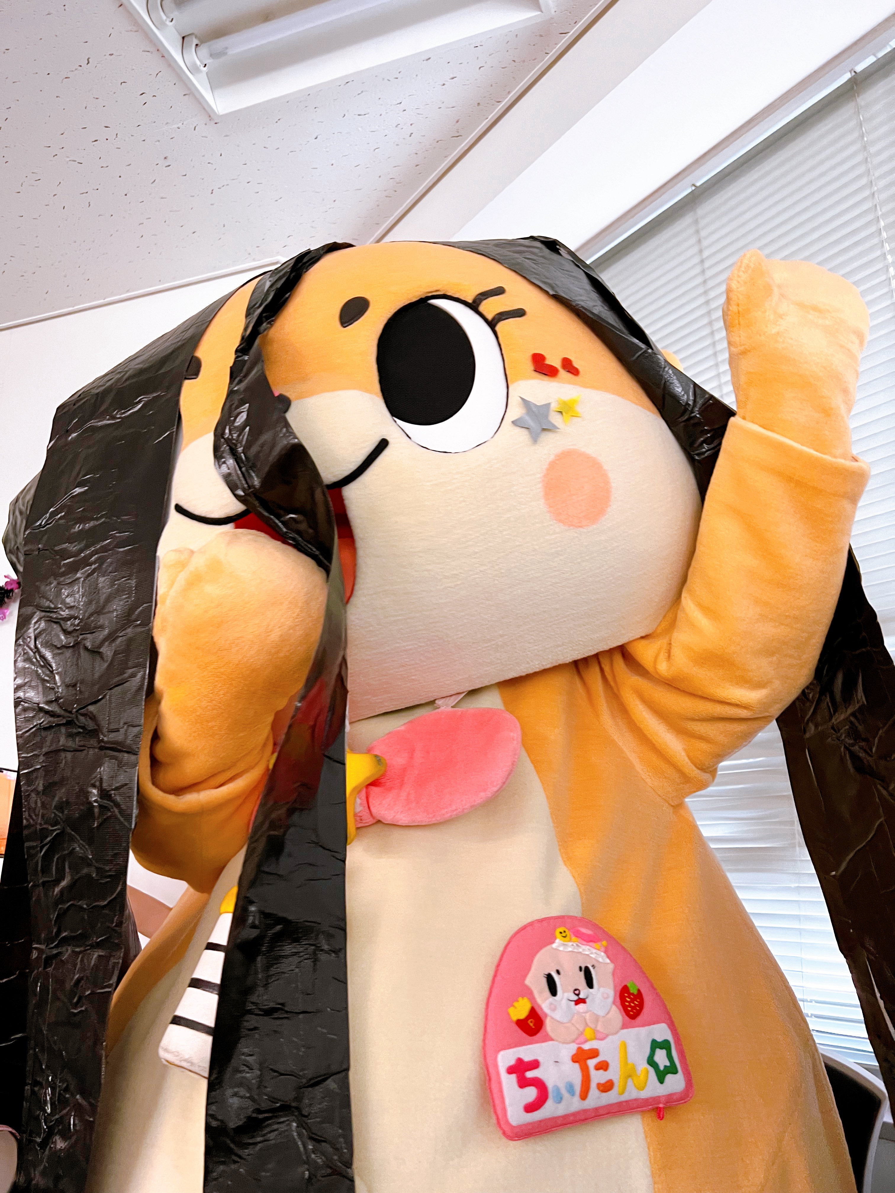 ami☆ (@ami_chiitan) / X