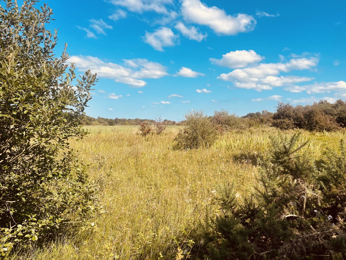 A glorious summer 

I sometimes dread the dark days ahead, but there will be books and music and coffee and people coming back to town and wet days, where you don’t move but sit under the skylight and listen to the rain and dream about a glorious summer well spent.
