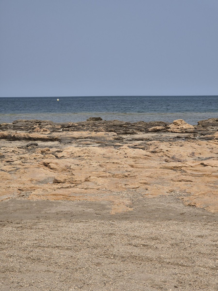 Tardes de playa
