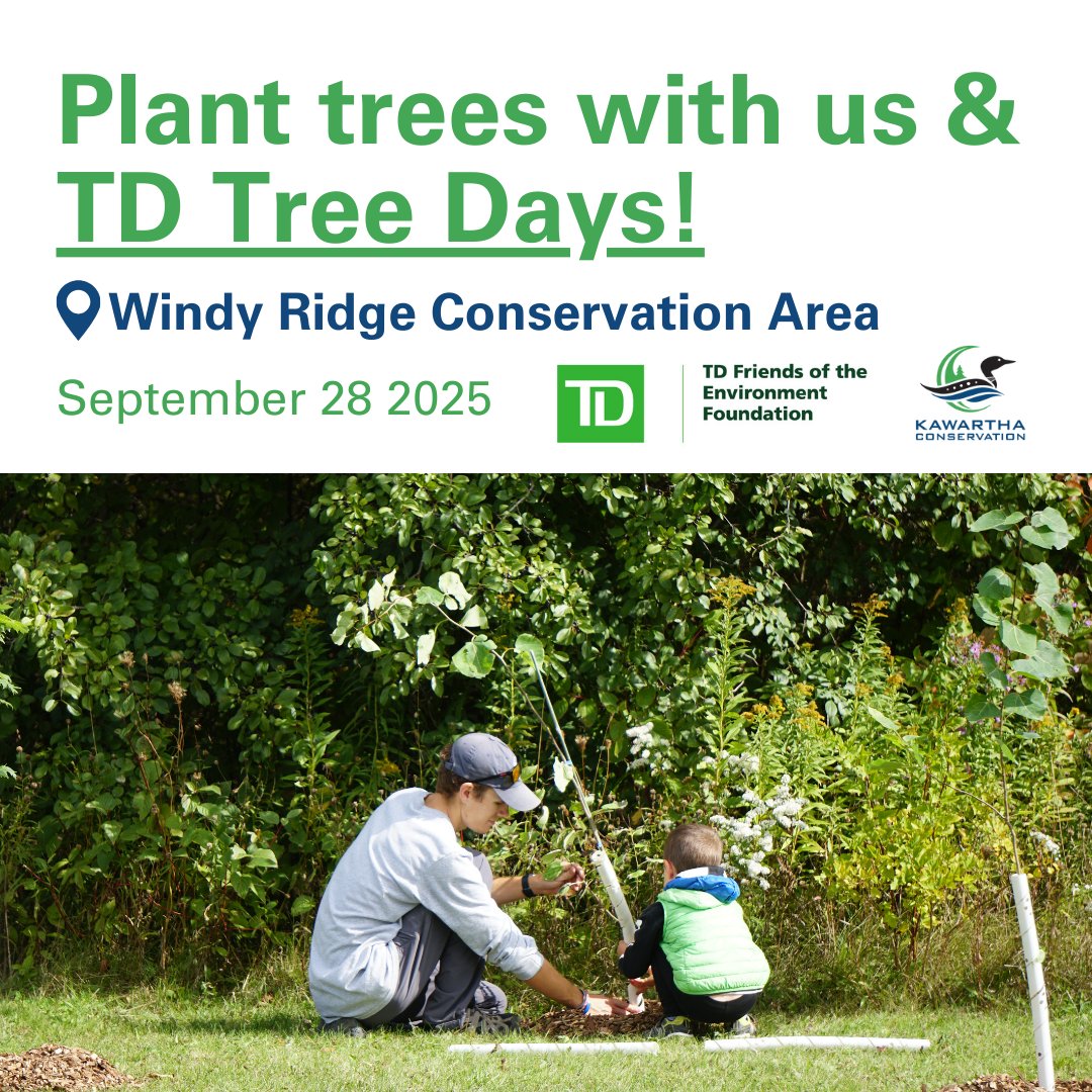 KawarthaConserv's tweet image. Mark your calendars! We are thrilled to be working with TD to deliver another TD Tree Days community tree planting event on Sunday, September 28 at Windy Ridge Conservation Area.

Sign up today through the link: tdtreedays.com/en-ca/windy-ri…

#TDReadyCommitment #TDTreeDays #windyridge
