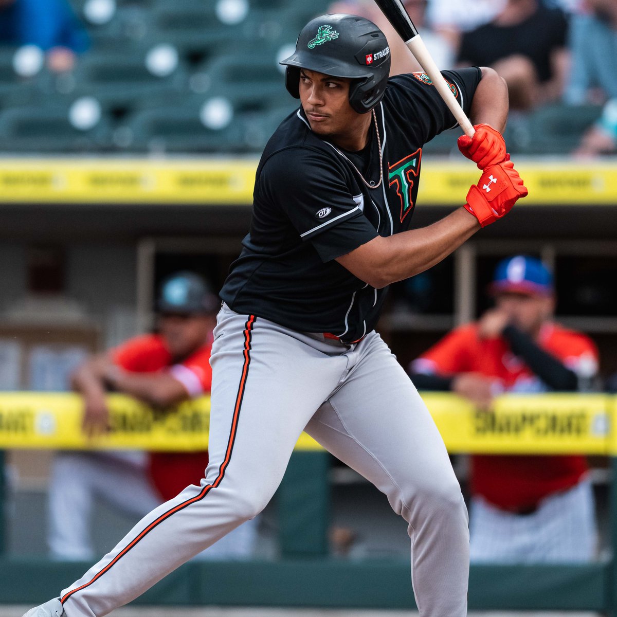 MLB Pipeline tweet media