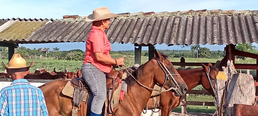 Espacios comunitarios donde campesinos, técnicos y jóvenes intercambian experiencias sobre cría, sanidad animal y alimentación.
#Cuba 🇨🇺🇨🇺
#SanctiSpíritusEnMarcha 
<a href="/DeivyPrezMartn1/">Deivy Pérez Martín</a> <a href="/AlexisLorente74/">Alexis Lorente Jiménez</a> <a href="/IcsCuba/">Instituto de Información y Comunicación Social</a> <a href="/alfonso_noya/">Alfonso Noya Martínez🇨🇺</a> <a href="/Belkyspcr/">Belkys PC 🇨🇺</a> <a href="/PartidoPCC/">Partido Comunista de Cuba</a> <a href="/DiazCanelB/">Miguel Díaz-Canel Bermúdez</a> <a href="/InstitutoS31534/">Dirección de Información y Comunicación Social SS</a>