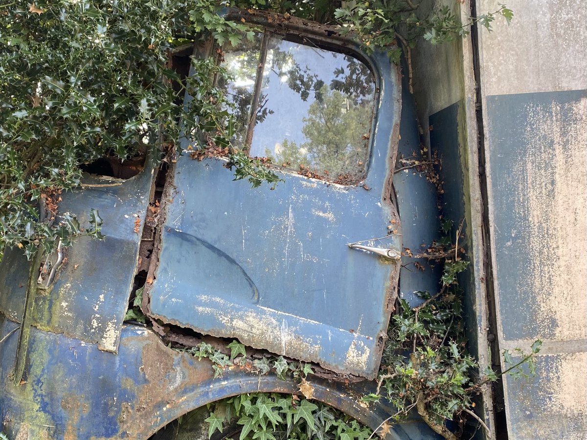 Nature reclaims. #chicksgrove #wiltshire #naturereclaims