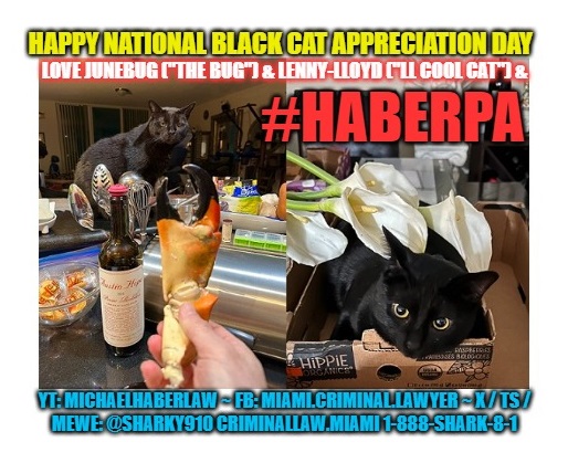 sharky910's tweet photo. #HaberPA (& The Bug & Lenny-Lloyd, my own #MiniPanthers) wishes you a #HappyNationalBlackCatAppreciationDay. Our #PSAOfTheDay explains #NationalBlackCatAppreciationDay's etymology, debunks superstitions, shouts-out to NO-KILL rescues & promotes #BlackCats! https://t.co/WxAQnsYUYA https://t.co/CcQfnFHOJu