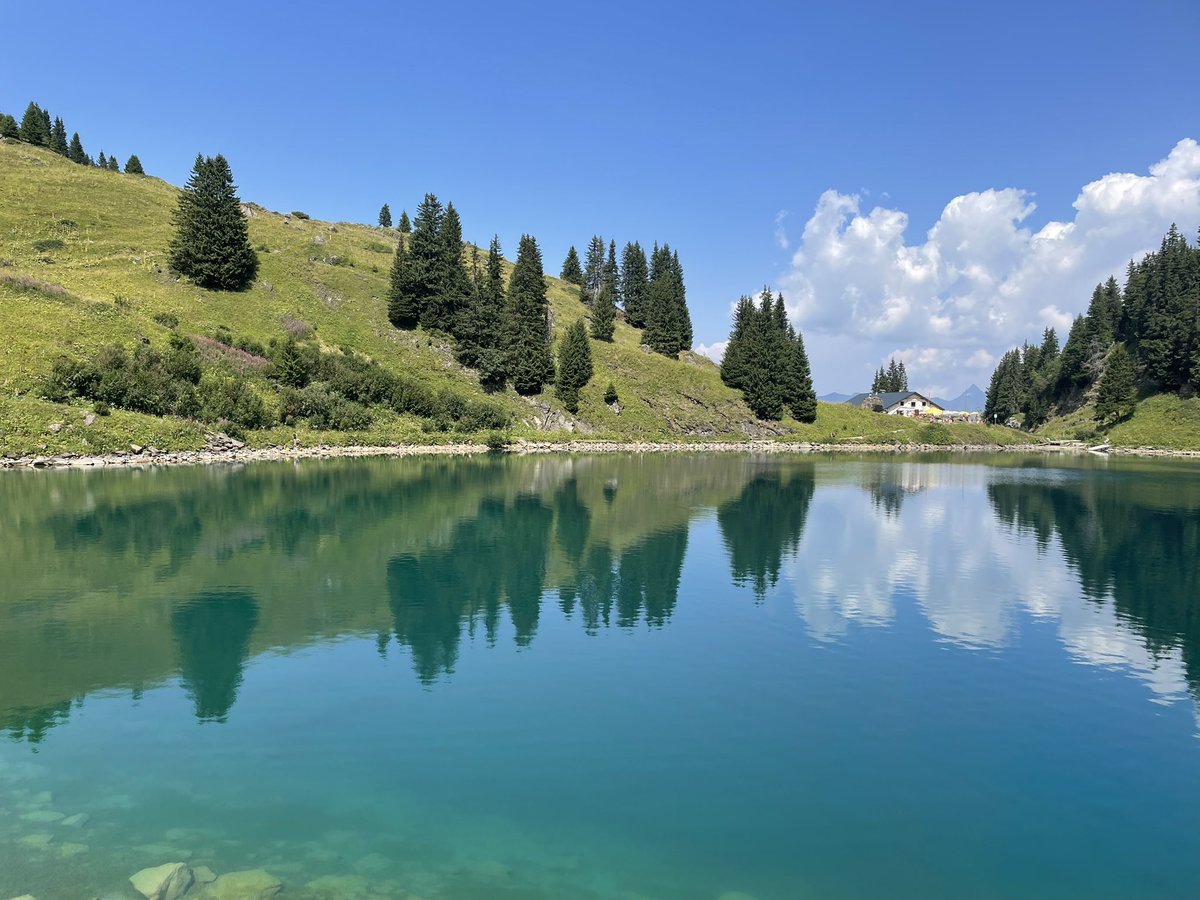 Abdallaelhajali's tweet photo. كنا بنعمل hike ١٠ كيلو وفى نص المسافه لقينا المكان دا بين الجبال سبحان الله 💖
Les mosses Switzerland 🇨🇭 https://t.co/i65G7p0sBL