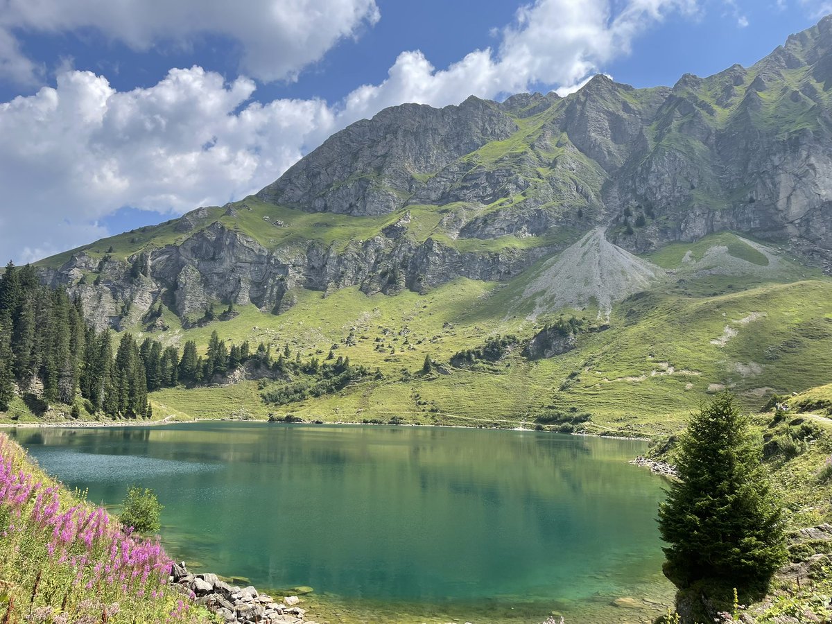 Abdallaelhajali's tweet photo. كنا بنعمل hike ١٠ كيلو وفى نص المسافه لقينا المكان دا بين الجبال سبحان الله 💖
Les mosses Switzerland 🇨🇭 https://t.co/i65G7p0sBL
