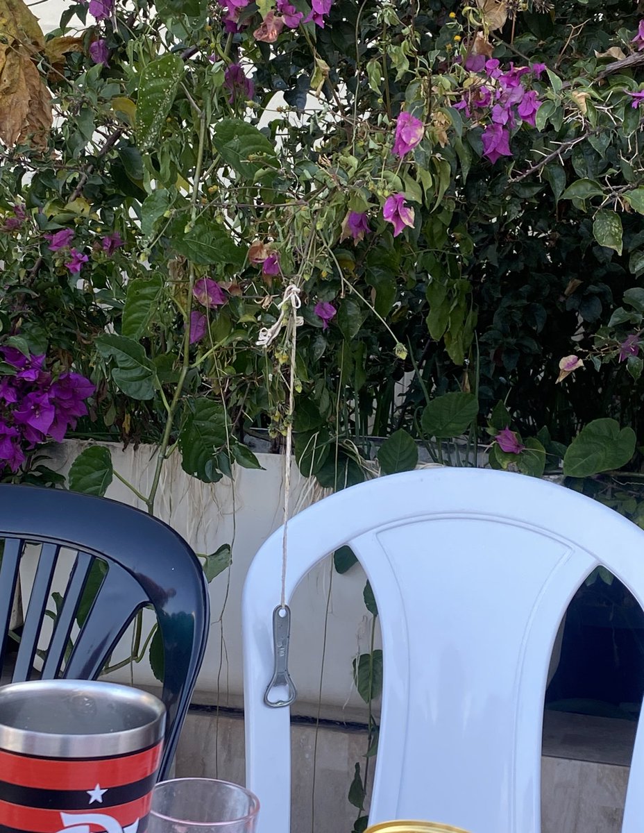 a natureza é linda😍