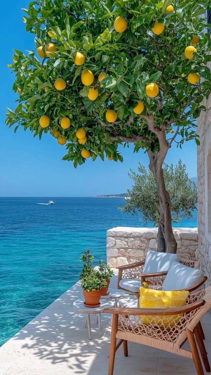 نغمض اعيننا لنعيش في الأحلام ونفتح قلوبنا لبركان الزمان