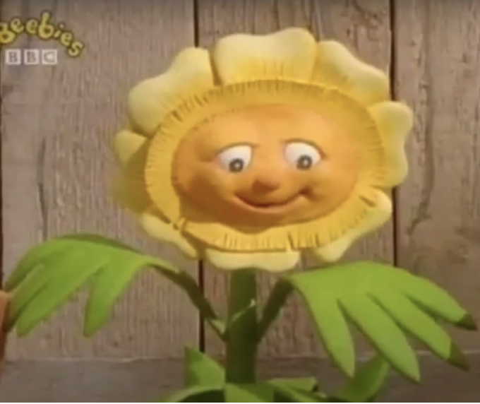 organicbotanic's tweet photo. Remembering that #Weed in #BillAndBen the #FlowerpotMen was a #Sunflower in the #DaisyFamily
Watch here! https://t.co/jL2DcWVdlC...
#Wildflowerhour
@BSBIbotany
@BSBI_Ireland
@botany_beck
@wildflower_hour
@UlsterWildlife
@Love_plants
@WildlifeTrusts https://t.co/PPmqvumN9x