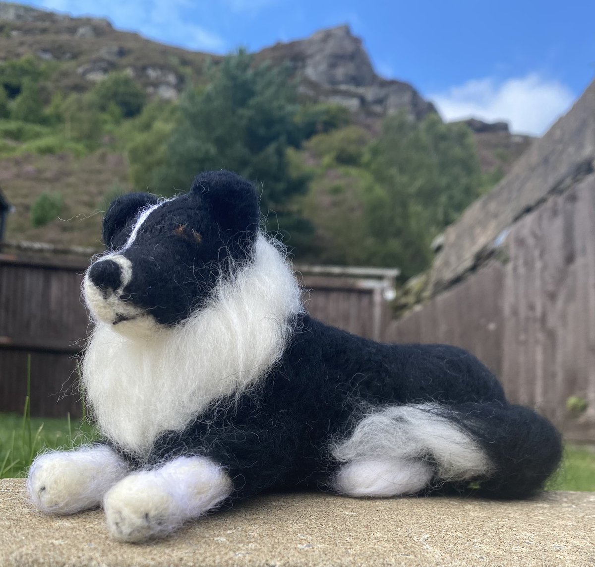 Lily’s Art and Pet Portraits 🎨🖼✍️❤️ tweet media