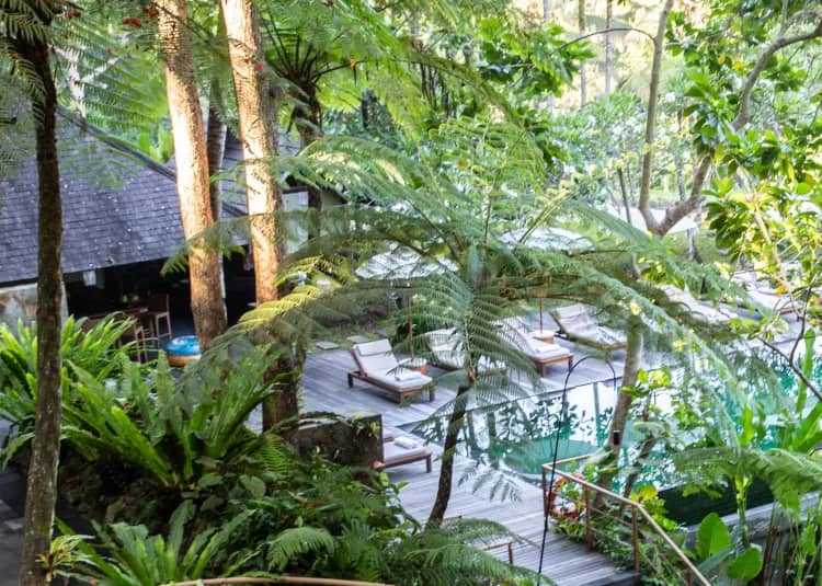 Hotels_016's tweet photo. 🏝️ اكتشف رفاهية الإقامة في Komaneka at Bisma – Ubud ✨
✔️ فيلات خاصة بإطلالة خلابة
✔️ سبا ويوغا وسط الطبيعة
✔️ قرب أهم معالم أوبود 🌿

إحجز الآن بخصم 56%
https://t.co/b9Qe4rZbr9
#waleed_racing
#Bali #LuxuryTravel https://t.co/g2fEb4Uzh4