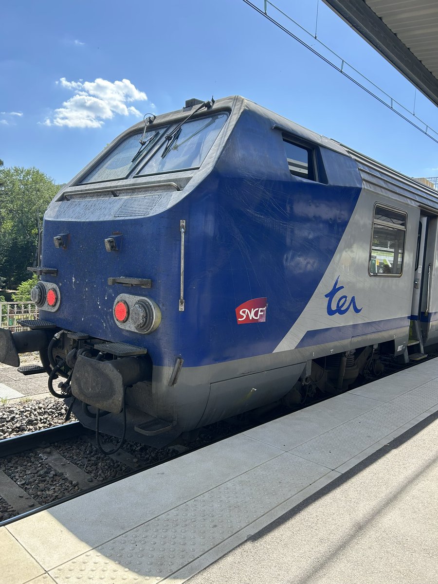 yvnis_asb's tweet photo. Petit starter pack corail. 🚂 https://t.co/7bTIED2Fr3