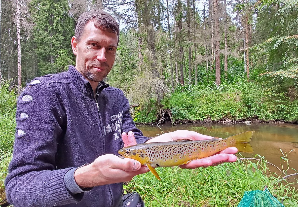 Nebiju dabā 35+ gadus redzējis alatu un ar Līvu devāmies ekspedīcijā to meklēt, lai pārliecināties, ka vispār tādas vēl ir atrodamas - viegli nebija, bet biju pārsteigts, ka vienu sastapām ... un bija arī citas zivis (visas zivis pēc fotosesijas tika atlaistas atpakaļ upē 😉)