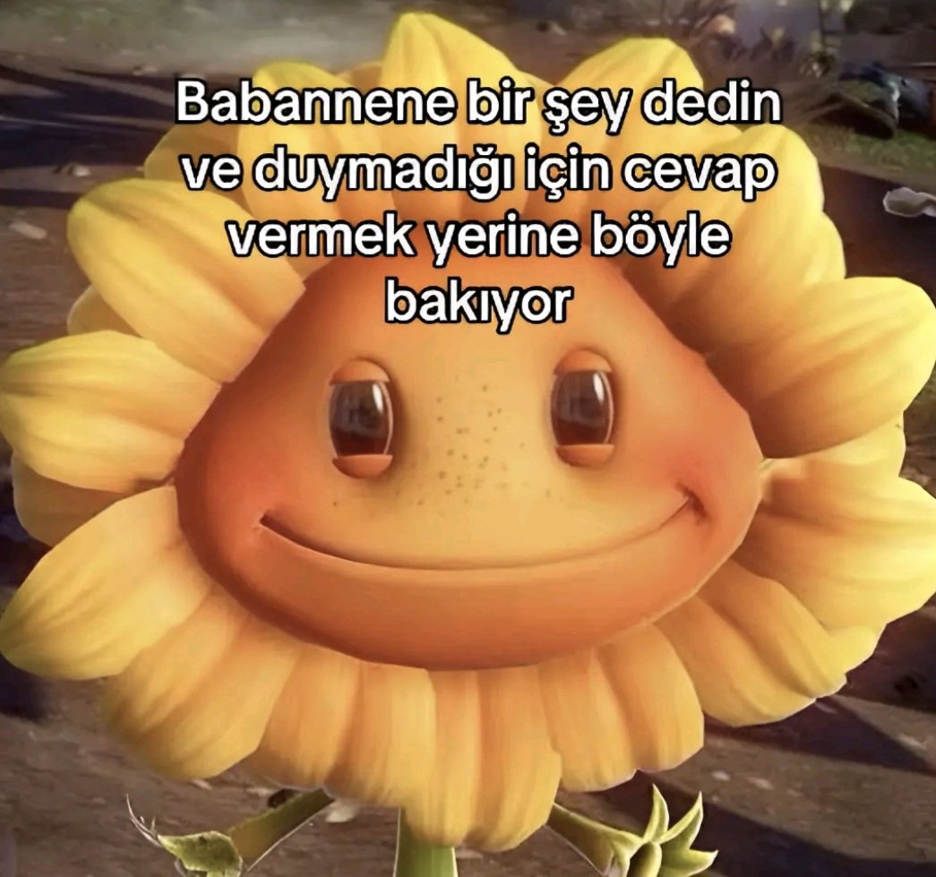 ezgi (@zirtiss) on Twitter photo 