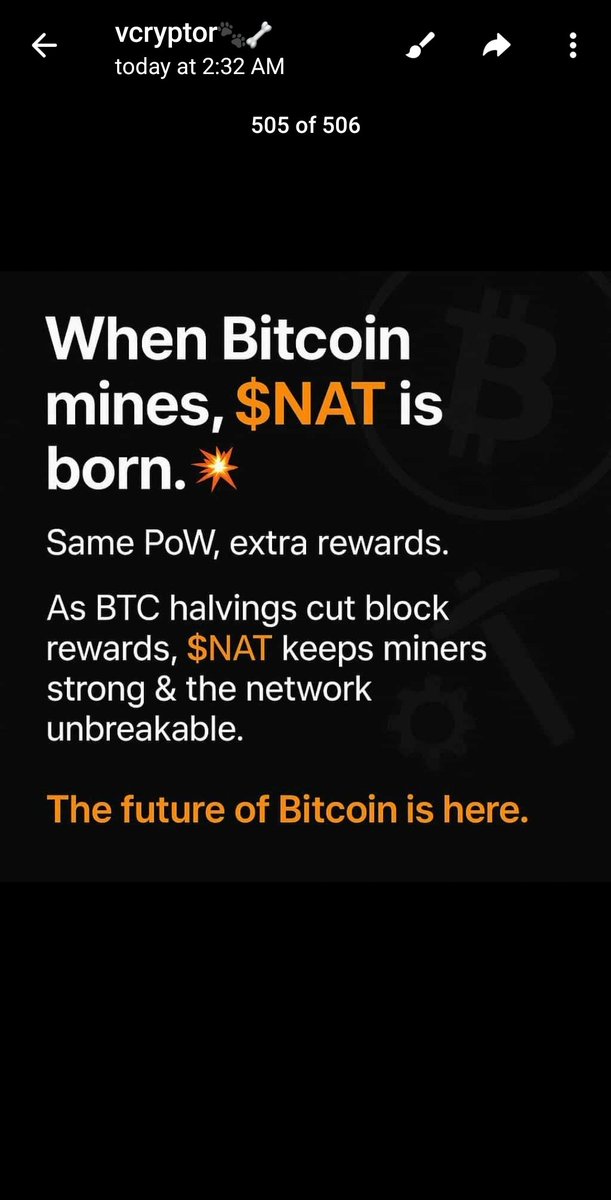 ₿reezy aka FAT $NAT tweet media